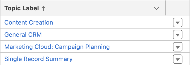 Configure Agent topics in Agentforce Studio