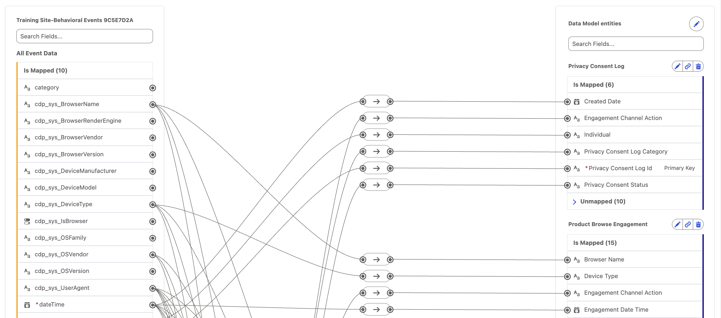 DLO to DMO attribute mapping in a data stream